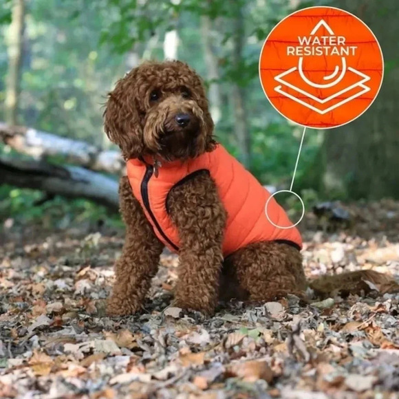 Orange Dog Vest - Picture 6 of 6